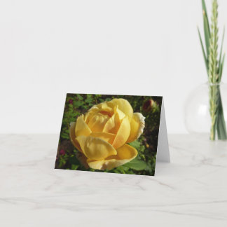 Tarjeta Rosa inglés amarillo