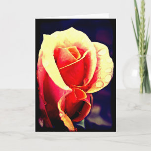 Tarjeta Rosa Lomo