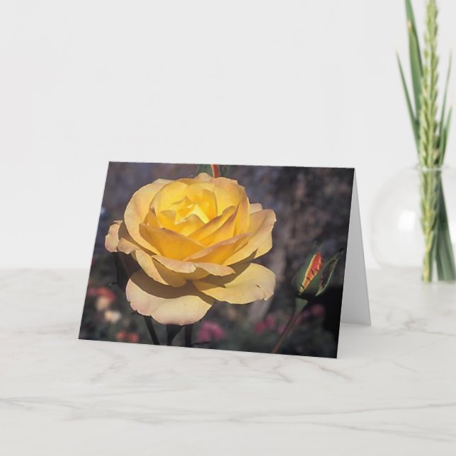 Tarjeta Rosa Medalla de Oro (Anverso)