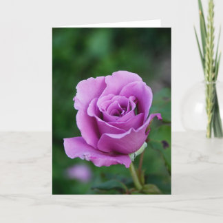 Tarjeta Rosa morado