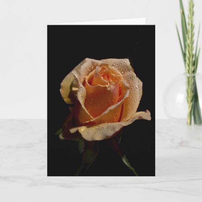 TARJETA ROSA NARANJA 1 (Anverso)