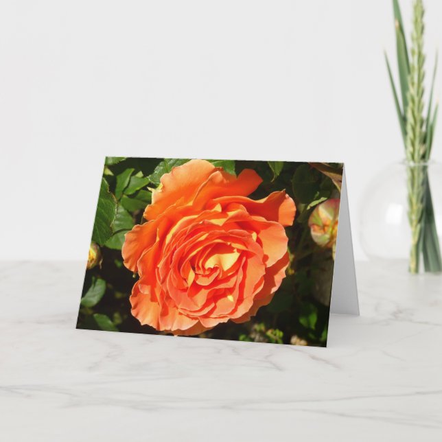 Tarjeta Rosa naranja I Bonito Floral (Anverso)