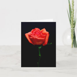 Tarjeta Rosa Naranja Suave
