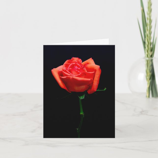 Tarjeta Rosa Naranja Suave (Anverso)