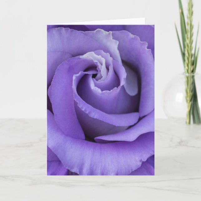 Tarjeta Rosa púrpura (Anverso)
