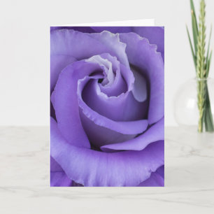 Tarjeta Rosa púrpura