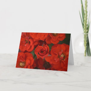 Tarjeta Rosa renacentista 2