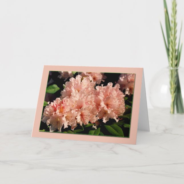 Tarjeta rosa Rhododendron Blank (Anverso)