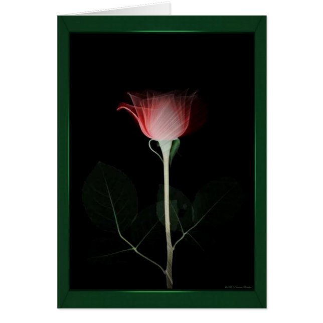 Tarjeta rosa roja (Frente)