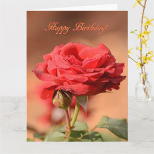 Tarjeta Rosa Roja con cumpleaños feliz de Bud