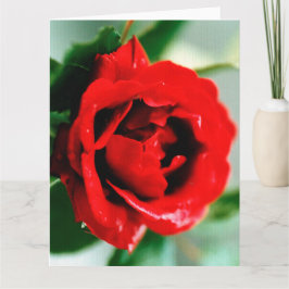 Tarjeta Rosa Roja con gotas de rocío