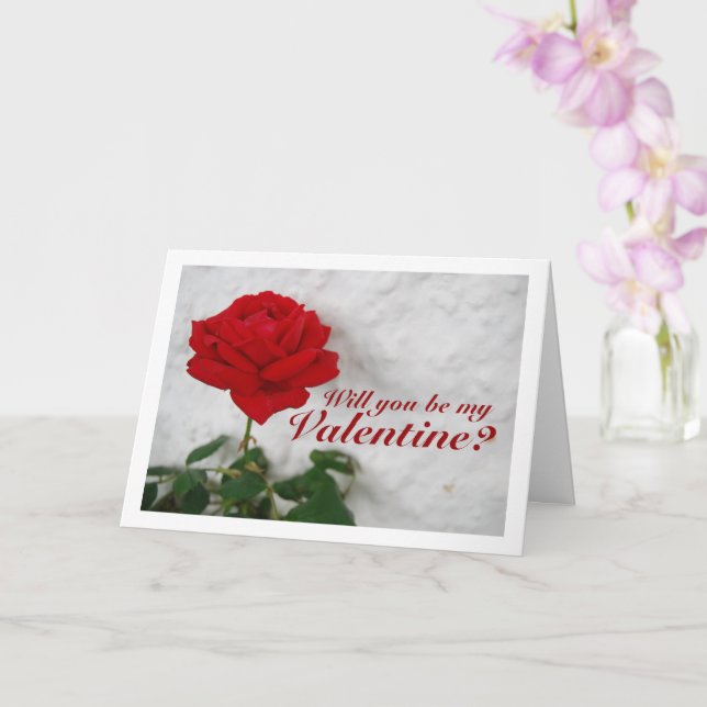 Tarjeta Rosa roja contra la pared blanca (Orquídea)