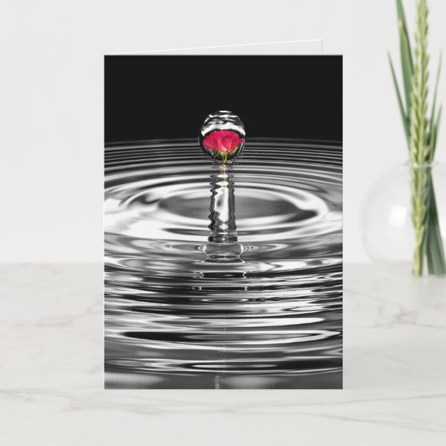 Tarjeta Rosa roja de simpatía en gota de agua salpicada (Anverso)