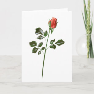 Tarjeta Rosa roja de tallo largo