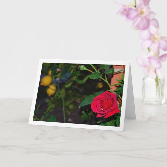 Tarjeta Rosa Roja y Lemones (Orquídea)