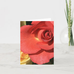 Tarjeta rosa rojo alto