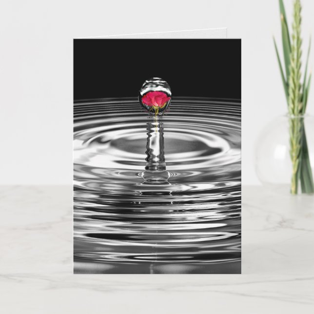 Tarjeta rosa rojo en la compasión por la gota de agua (Anverso)