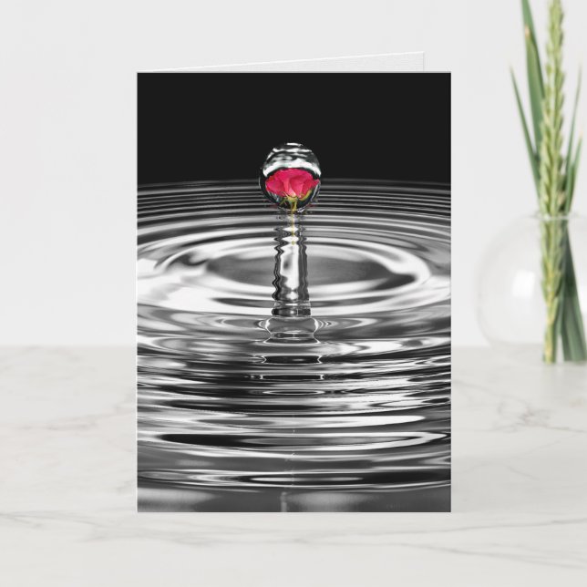 Tarjeta rosa rojo en la compasión por la gota de agua (Anverso)