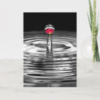 rosa rojo en la compasión por la gota de agua