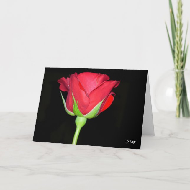 Tarjeta Rosa rojo rojo (Anverso)