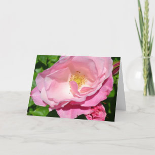 Tarjeta Rosa rosa