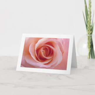 Tarjeta Rosa rosa