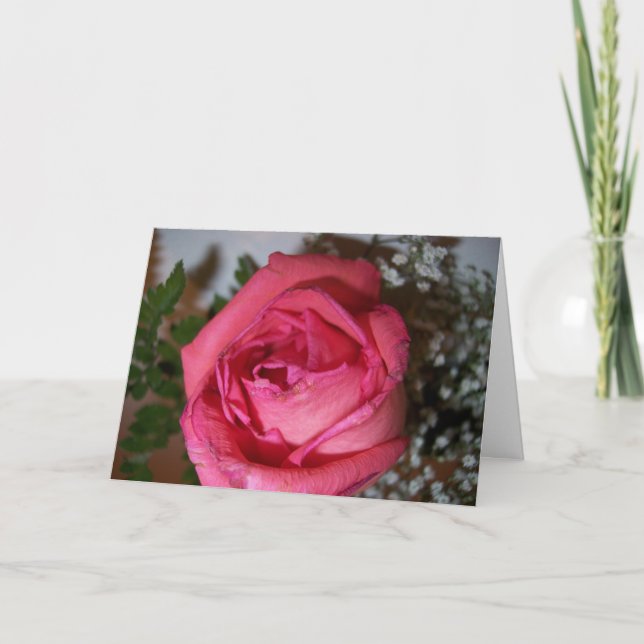 Tarjeta Rosa rosa (Anverso)