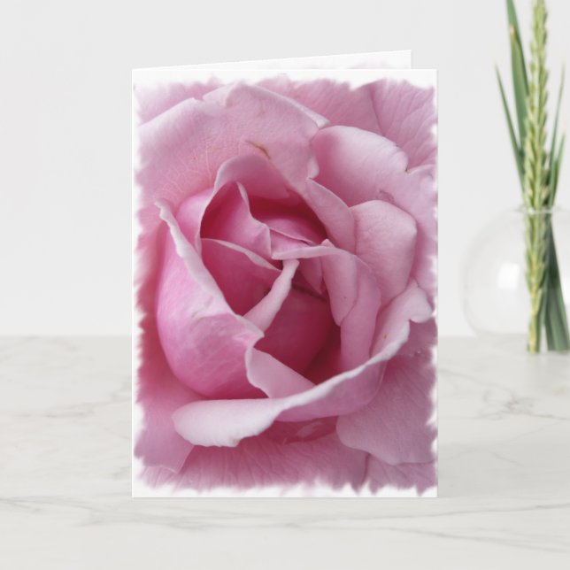 Tarjeta Rosa rosa (Anverso)