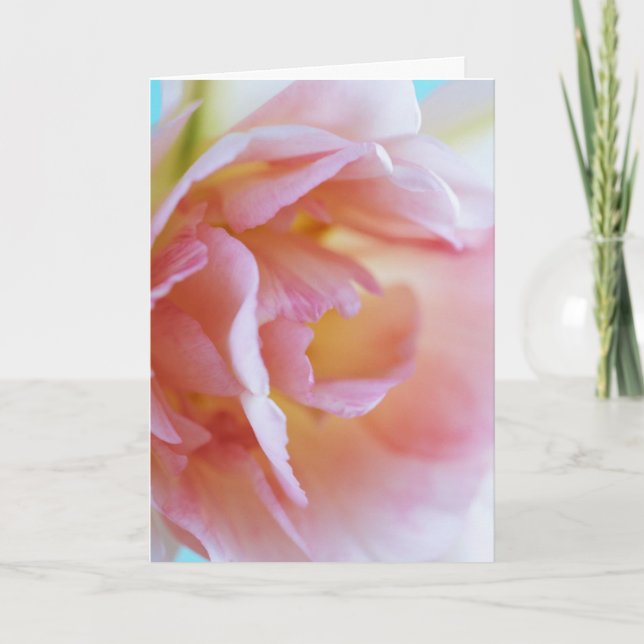 Tarjeta Rosa rosa (Anverso)