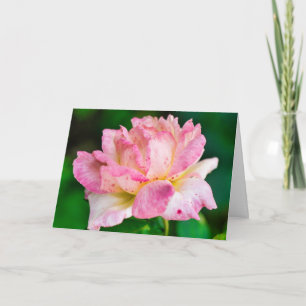 Tarjeta Rosa Rosa
