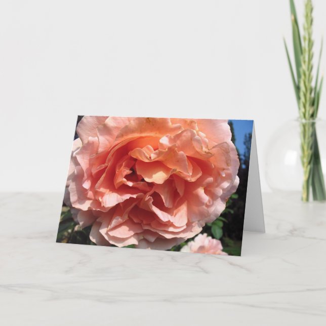 Tarjeta Rosa rosa (Anverso)