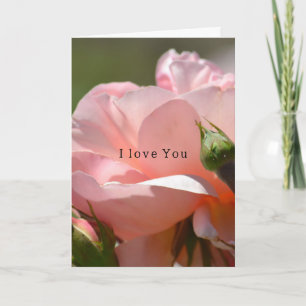 Tarjeta Rosa Rosa Amor Rosa (fotografía por mí)