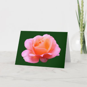 Tarjeta Rosa rosa - Azul