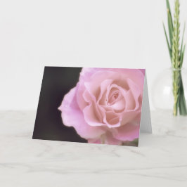 Tarjeta Rosa rosa magnífico