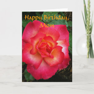 Tarjeta Rosa rosa/Naranja
