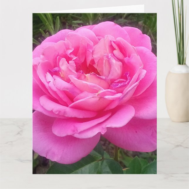 Tarjeta Rosa rosa romántico "Leonardo Da Vinci" (Anverso)