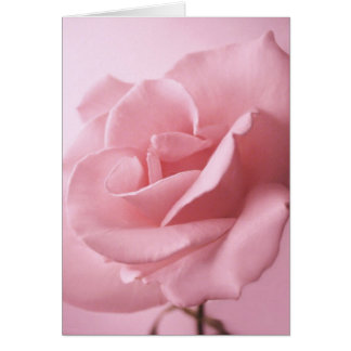 Tarjeta rosa rosa rosa