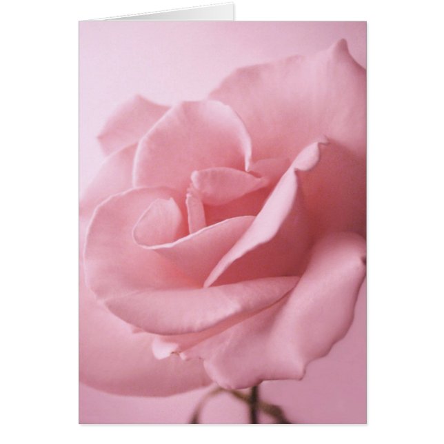Tarjeta rosa rosa rosa (Frente)