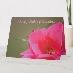Tarjeta Rosa Rosa Rosa Feliz Cumpleaños Abuela