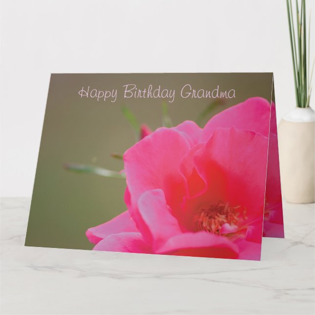 Tarjeta Rosa Rosa Rosa Feliz Cumpleaños Abuela (Anverso)