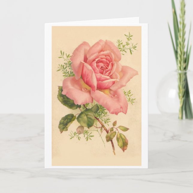 Tarjeta Rosa rosada vintage con gotas de harina, (Anverso)