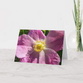 Tarjeta Rosa salvaje Notecard