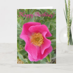 Tarjeta Rosa silvestre F4a