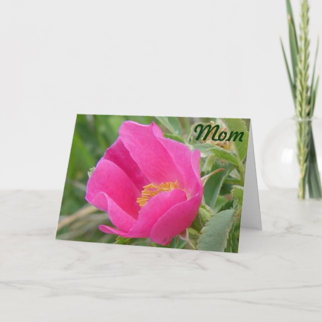 Tarjeta Rosa silvestre F7 (Anverso)