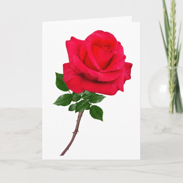 Tarjeta Rosa Te Ama Saludar (Anverso)