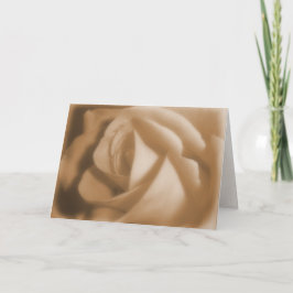 Tarjeta Rosa viejo