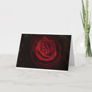 Tarjeta Rosa Vive Patrón Corazón Flor Paz Destino de Amor