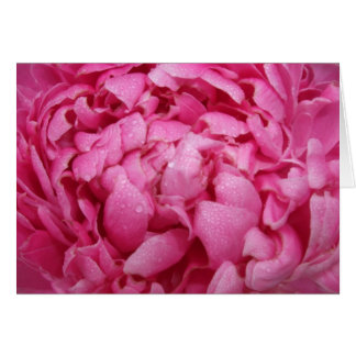 Tarjeta rosada brillante del Peony