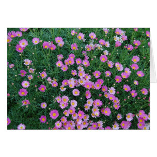 Tarjeta rosada de la flor