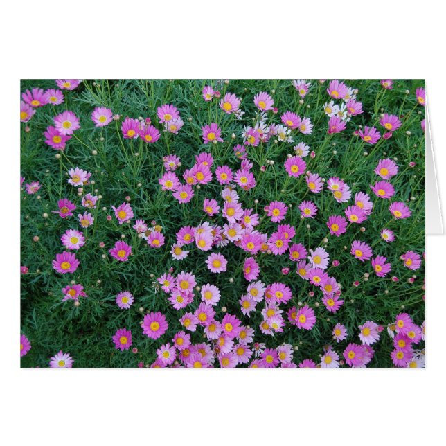 Tarjeta rosada de la flor (Anverso (Horizontal))